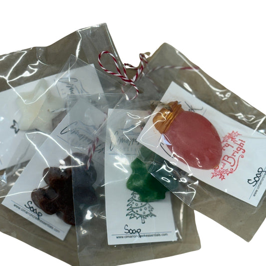 Holiday Ornament Gift Set